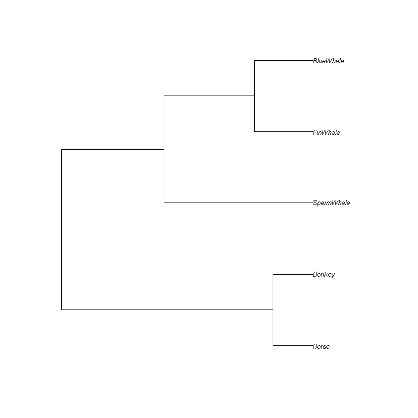 ../../_images/instructions_lab2_Evolution_&_phylogenetic_reconstruction_92_0.png